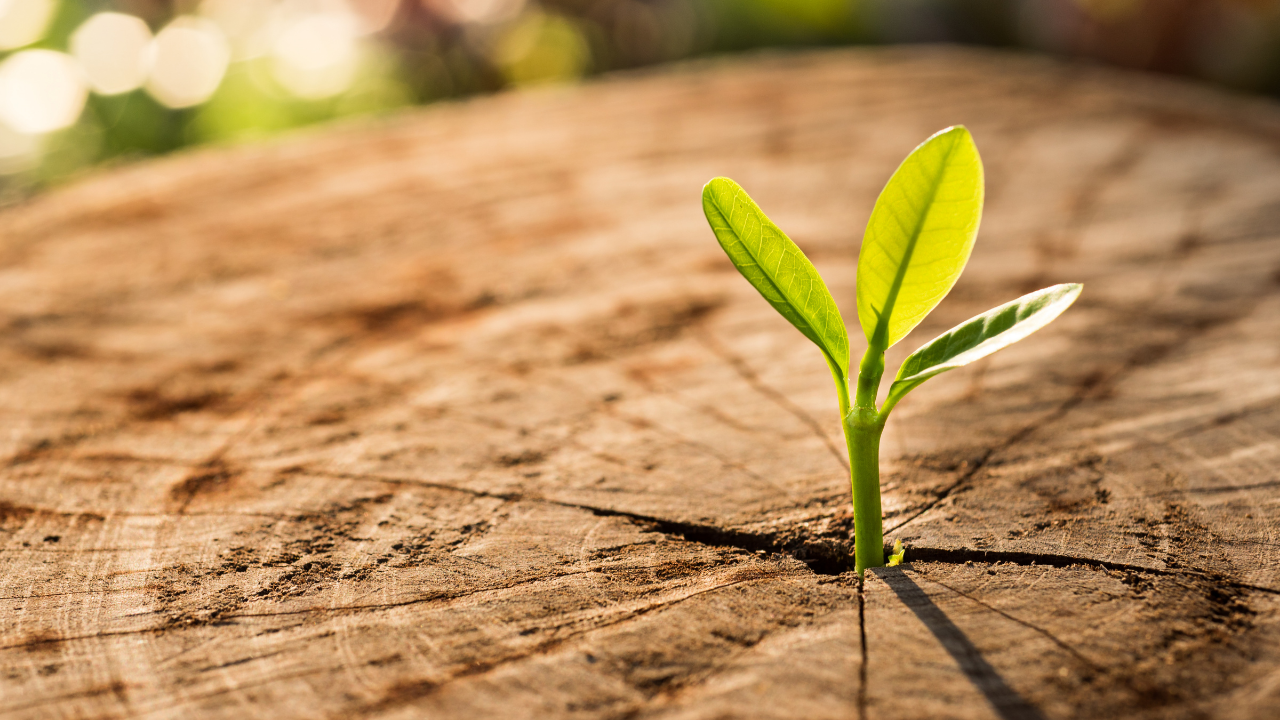 Die Wirkung deiner Affirmationen / Silent Subliminals verstärken
