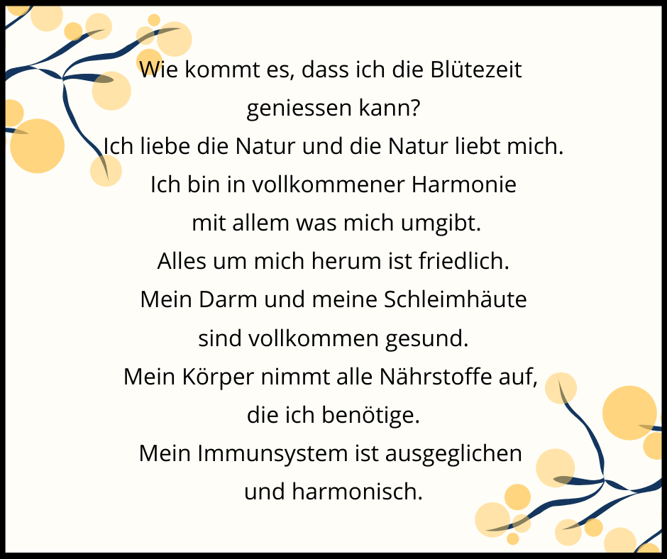 Believe Mind Allergie Audio Affirmation mit Theta Frequenz aus unserer Kollektion Gesundheit